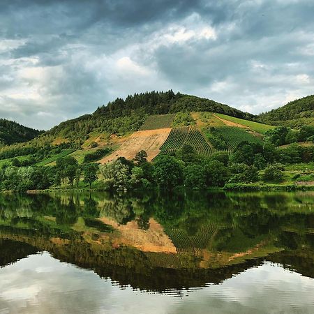 Moselglueck Daire Sankt Aldegund Dış mekan fotoğraf